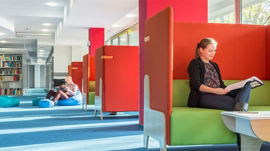 Soft and Hard Floor Care Guide