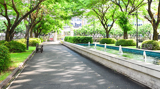 Path with trees - roi of sustainability Path with trees - roi of sustainability