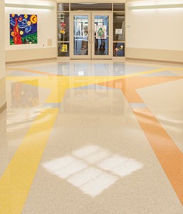 Hard and soft floor cleaning guide Hard and soft floor cleaning guide