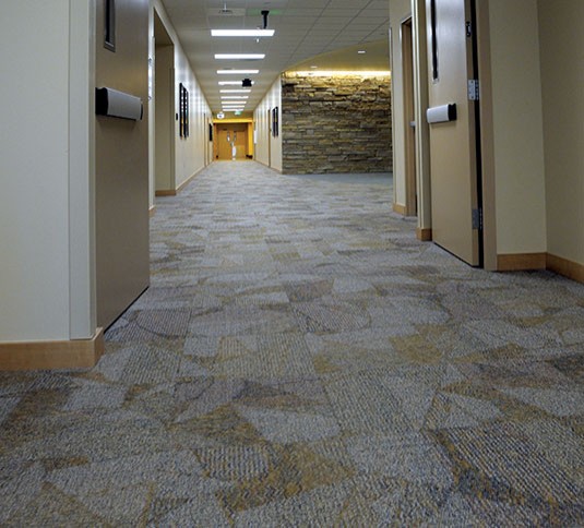 Carpeted flooring Carpeted flooring
