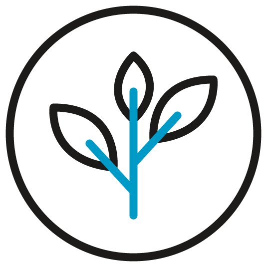 Create Healthy Workplace Environments