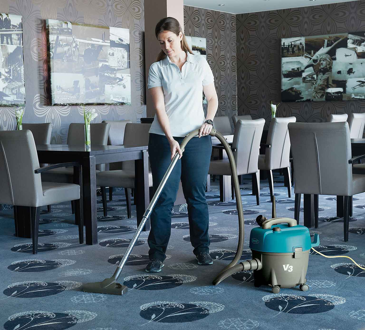 V3 Aspirateur-traîneau pour détritus secs alt 23