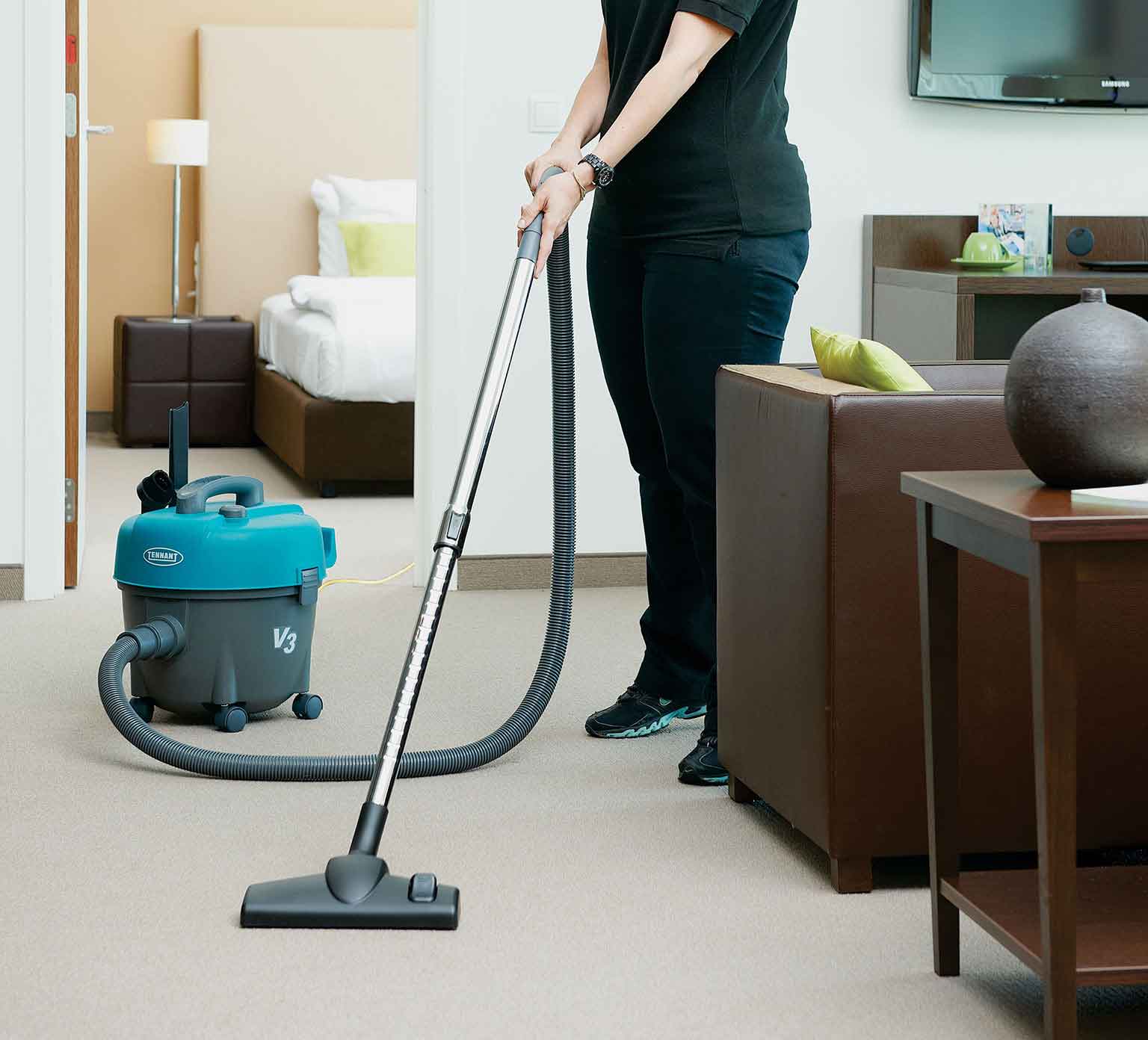 V3 Aspirateur-traîneau pour détritus secs alt 20