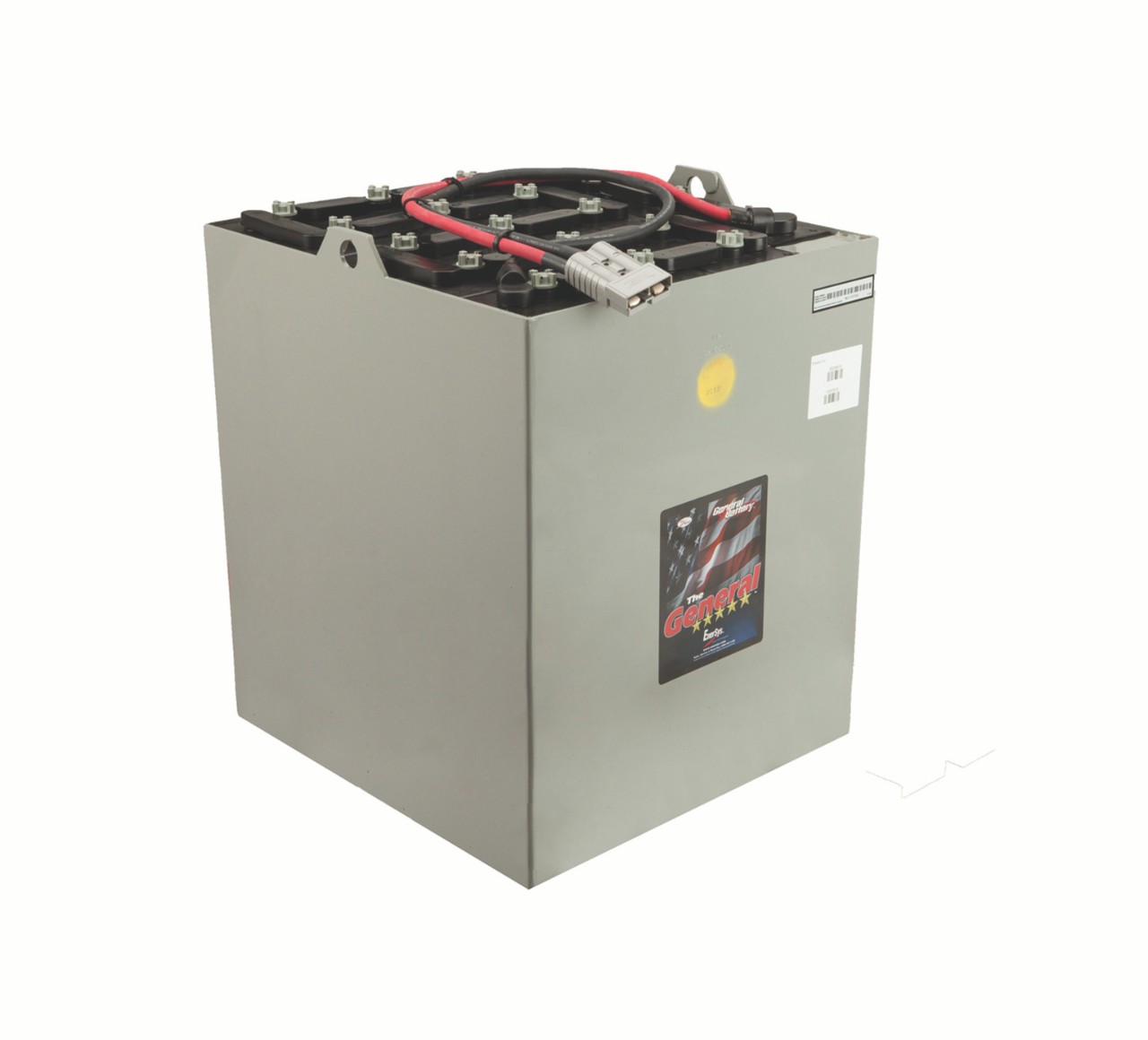 1018515 36 Volt Wet Enersys Battery alt 1
