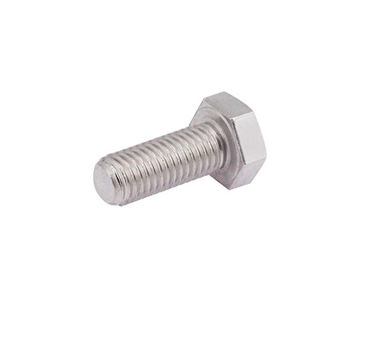 12309 Stainless Steel Hex Screw - M12 Thread x 1.15 in alt 1