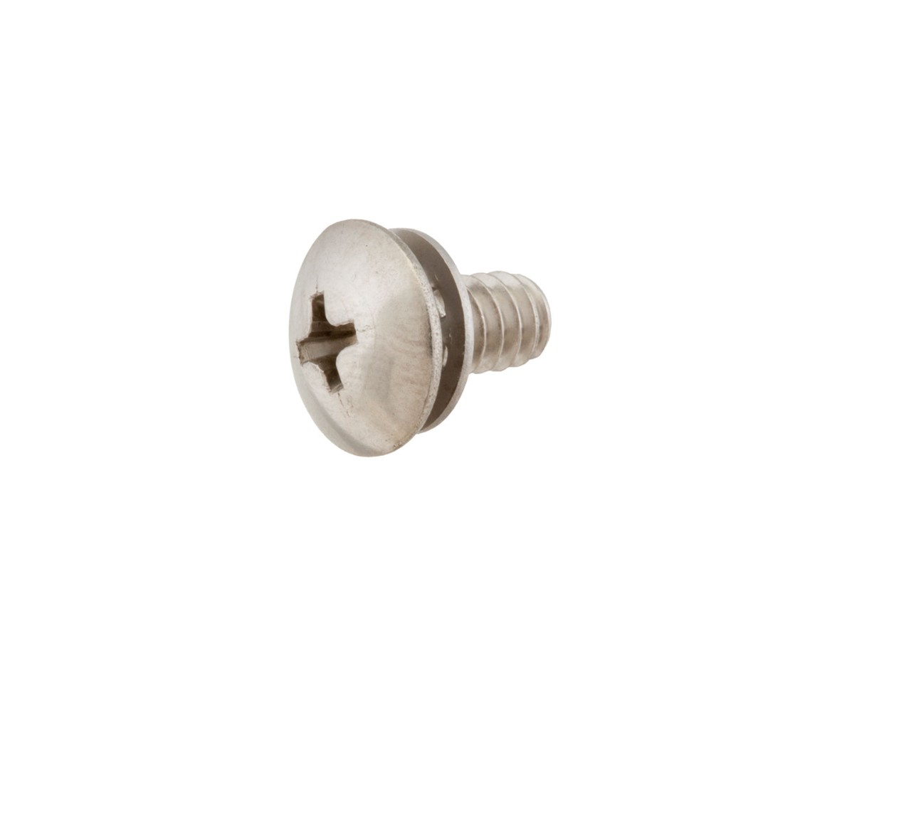 140197 Phillips Truss Screw alt 1