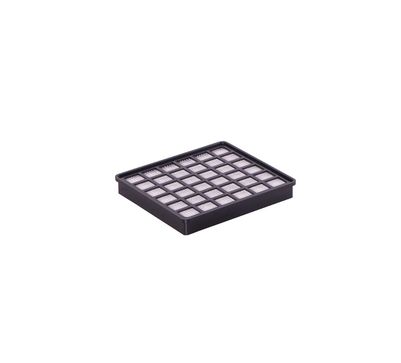 9007812 Filtro HEPA alt 1