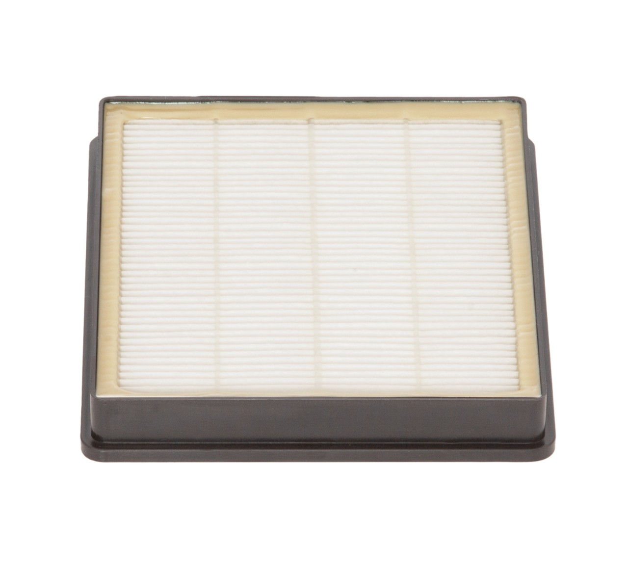 9007812 Filtro HEPA alt 3