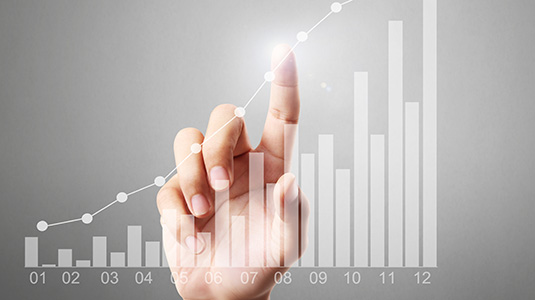 Quarterly Results