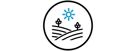 Environmental Sustainability