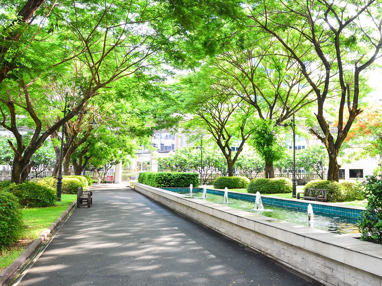 Clean outdoor park Clean outdoor park