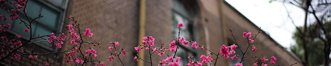 Spring flowers at a school Spring flowers at a school