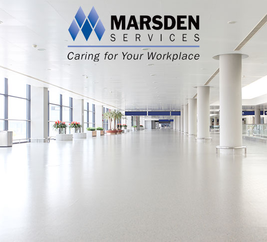 Étude de cas de la réussite de l'entreprise en démarrage Marsden South Étude de cas de la réussite de l'entreprise en démarrage Marsden South