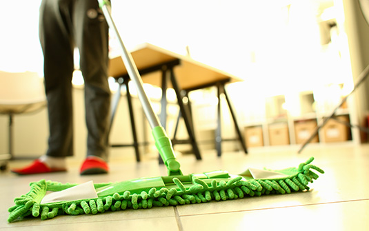 serpillère à poussière sèche verte nettoyant des sols laminés en entreprise serpillère à poussière sèche verte nettoyant des sols laminés en entreprise
